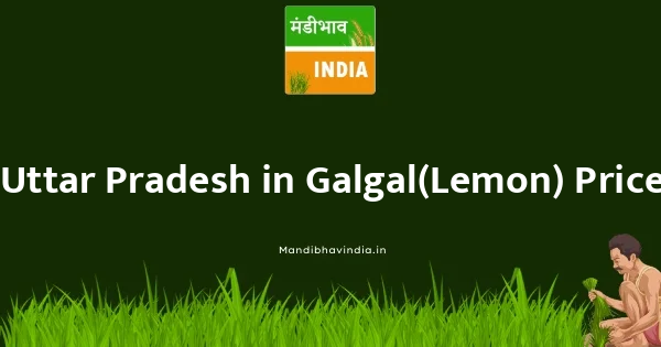 Galgal(Lemon) भाव